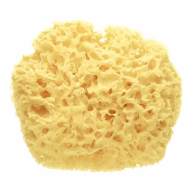 Esponja Natural Saro